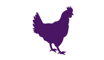 Avian Flu